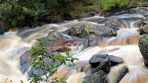 Corredeiras Agua Natureza O Fluxo Foto Gratuita No Pixabay Pixabay