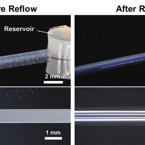 Color Online Glue Mold Before And After Reflow Download Scientific Diagram