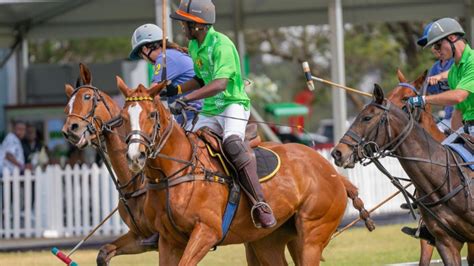 What To Expect As Polo Makes A Comeback At Nairobi Polo Club Over The