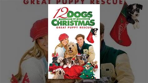 12 Dogs Of Christmas Great Puppy Rescue Youtube