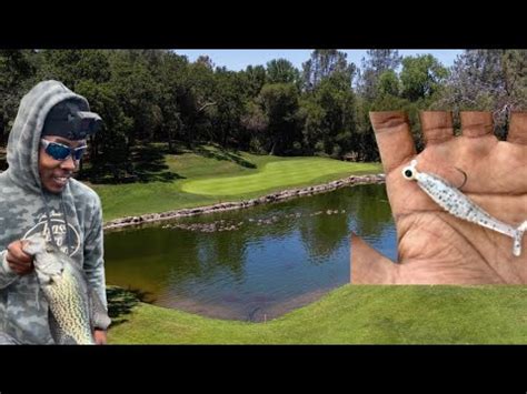 Sneaking On Golf Course Pond Youtube