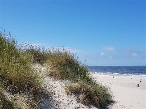 Beach Dune Dunes - Free photo on Pixabay - Pixabay