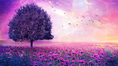 Purple Tree Wallpaper 51 Images