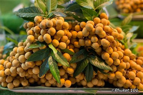 25 Thai Fruits to Discover in Phuket - PHUKET 101