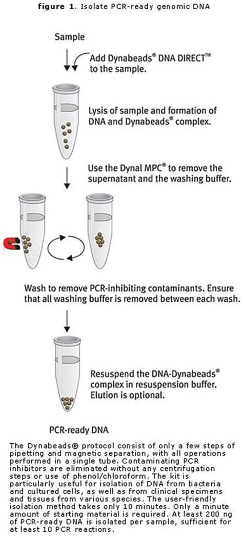 Dynabeads™ Dna Direct™ Universal Kit