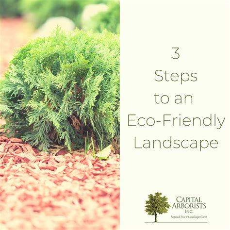 Steps To An Eco Friendly Landscape Capital Arborists