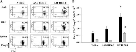 Adoptive transfer of LIT HLN B cells increased CD4 ϩ Foxp3 ϩ Treg cells