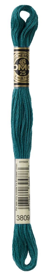 Dmc Embroidery Floss 6 Strand 3809 Turquoise Very Dark Copper