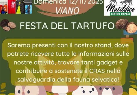 Stand Alla Fiera Del Tartufo Di Viano Rifugio Matildico