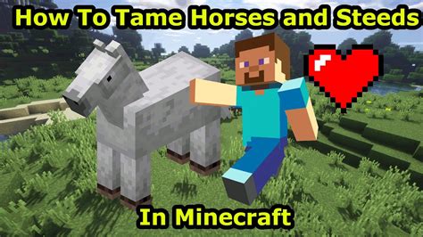 How To Tame Horses And Steeds In Minecraft Youtube