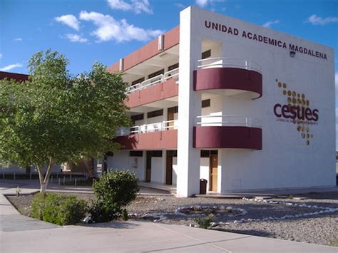 Universidad Estatal De Sonora Ues Unidad Acad Mica Magdalena