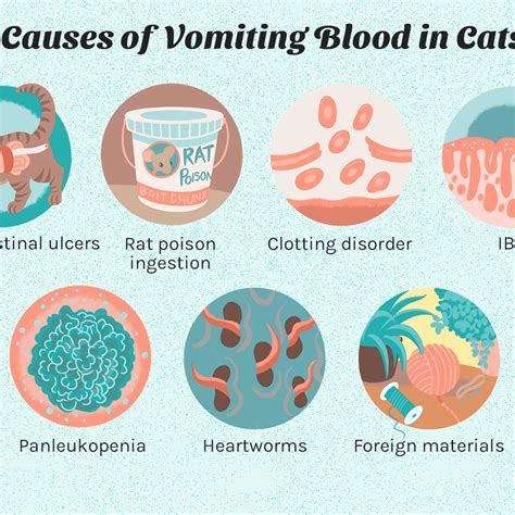 cat vomiting blood clots - Callie Giordano