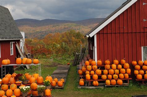 FLOWERSHOPGURL: Rambling Along Country Roads in Autumn...