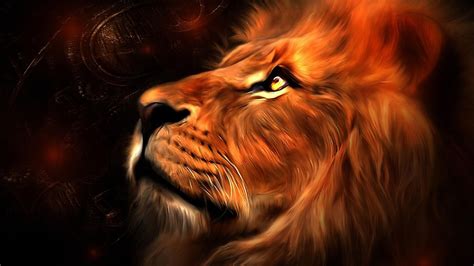 lion of judah #animals #1080P #wallpaper #hdwallpaper #desktop | Lion ...