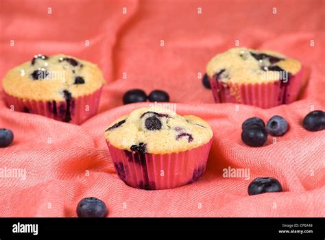 Homemade Blueberries Muffins Over Pink Fabric And Fruits Around Stock