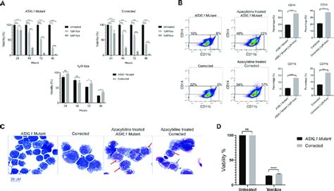 Azacytidine Leads To Increased Differentiation In Asxl Mutant Cells A