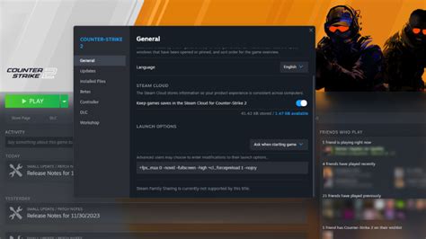 The Best Cs Launch Options Step By Step Guide