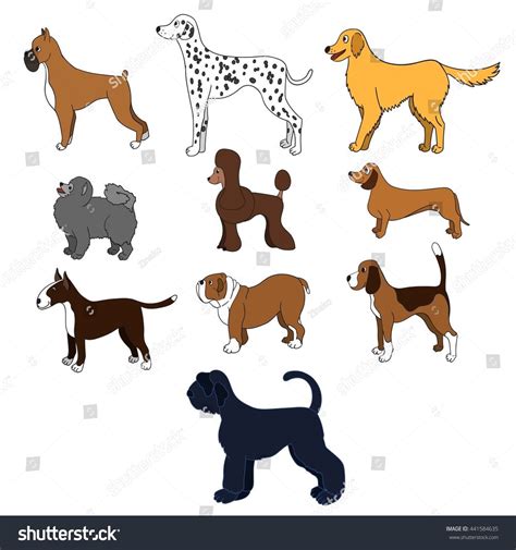 Set Cartoon Dog Breeds Isolated On Stock Vector (Royalty Free) 441584635