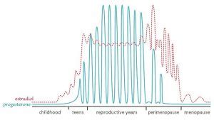 Understanding Hormonal Changes During Menopause - WellFemme