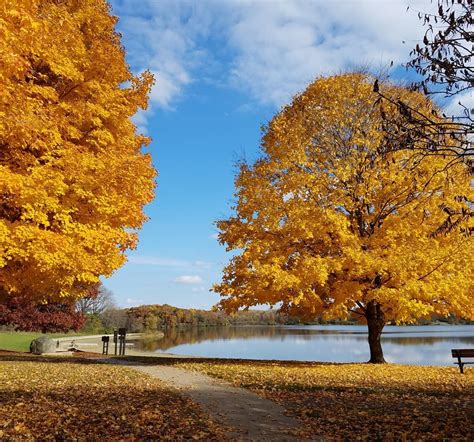 Some of the Best Fall Colors in Indiana Can Be Found at These 6 Parks