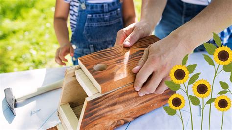 Aktion Sonnenblumen Ernte Und Vogelh Uschen Bauen