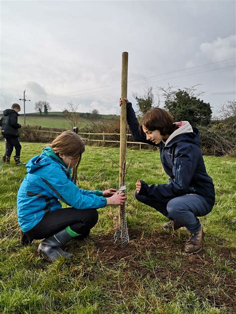 Tree planting Jan 2022 - Corston Community Orchard