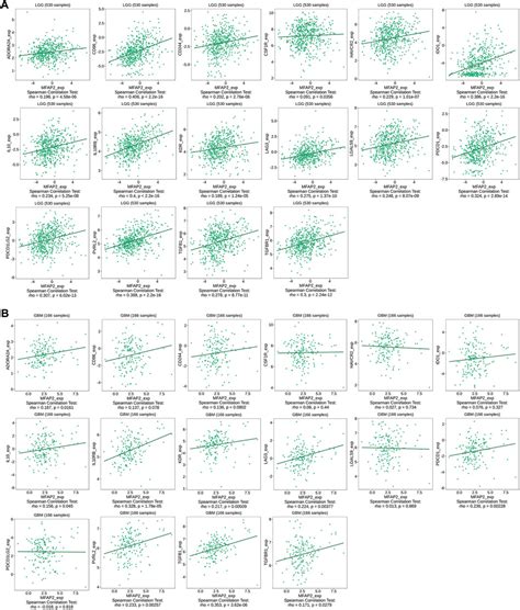 Frontiers | Microfibrillar-associated protein 2 is a prognostic marker ... 