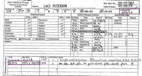 Laci Peterson's Autopsy: The Verdict Revisited - 14bdcea