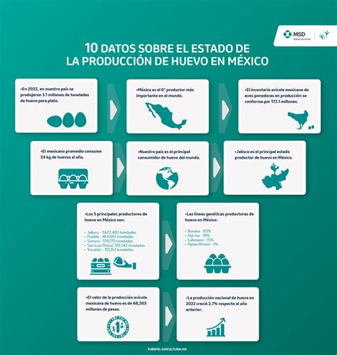 10 datos sobre el estado de la producción de huevo en México