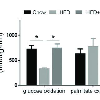 DHA Treatment Attenuates HFD Induced Oxidative Stress Mitochondrial