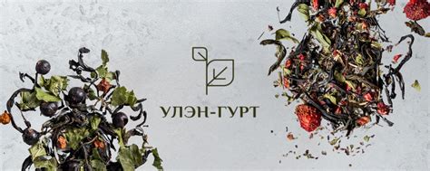 Улэн-Гурт | Травяной чай с доставкой по РФ | Добро пожаловать в наше ...
