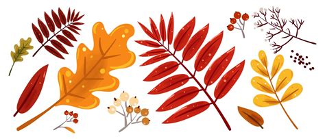 Fall Leaves Cartoon Vector Images (over 18,000)