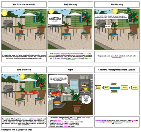 Photosynthesis Storyboard By 791a88d9