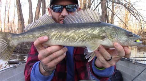 Big Post Spawn Walleyes On Upper Wolf River Youtube