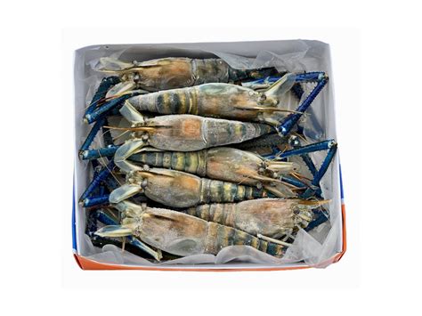 Super Colossal Whole Langoustine Frozen Goldfish Seafood Market