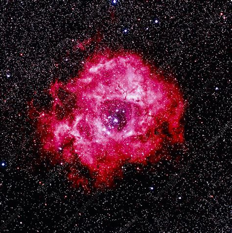 Optical Image Of The Rosette Nebula NGC 2237 2239 Stock Image R560