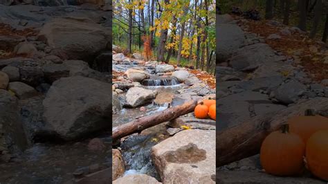 Huge Waterfall Is A Dream Come True For Our Clients Beforeandafter