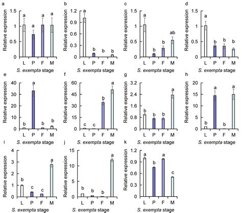 Sex And Stage Dependent Expression Patterns Of Odorant Binding And Chemosensory Protein Genes