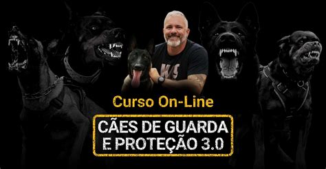 Curso Online Cães de Guarda e Proteção