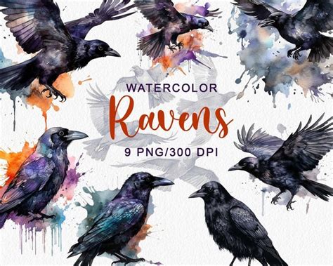 Watercolor Raven Clipart Watercolour Crow Raven Clip Art Png Digital