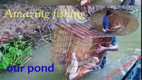 Amazing Underwater Hand Fishing Fishing Farming360 Fishing YouTube