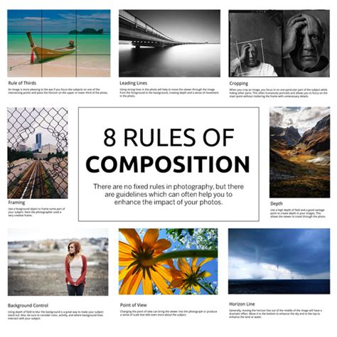 artist research  ms  photography