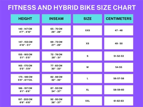 Maintaining Balance: Checking the Hybrid Bike Size Chart Often - OutdoorxSports