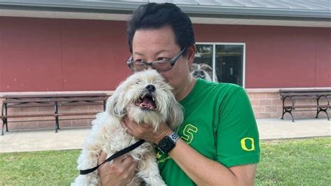 Senior Dog Reunited With Owner After Getting Lost