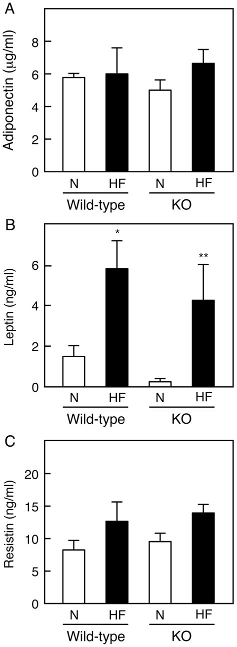 Serum Levels Of Adipokines In Wild Type And Iva Pla Knockout