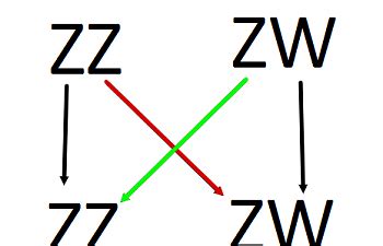 Breeding For Sex Linked Ducklings BackYard Chickens