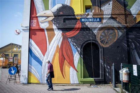 Street Art In Emilia Romagna I Murales Da Non Perdere Travel Emilia