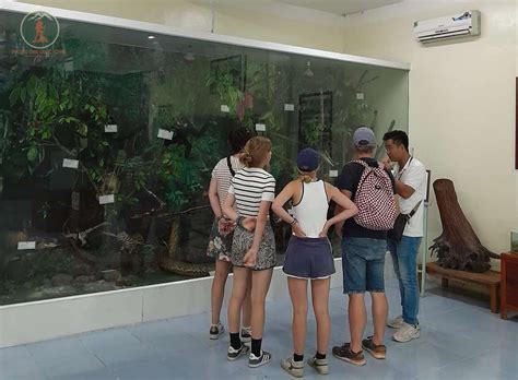 Phong Nha Botanic Garden Days Trek Phong Nha Cave Tours