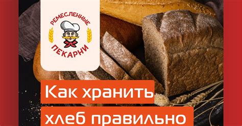 Как правильно хранить хлеб — Teletype