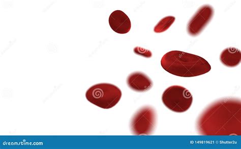 Red Blood Cells On Isolated White Background Medical And Healthcare